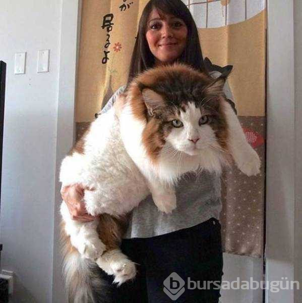 Günün en çok paylaşılan fotoğrafları