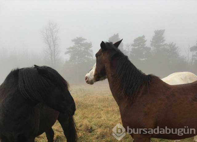 Günün en çok paylaşılan fotoğrafları