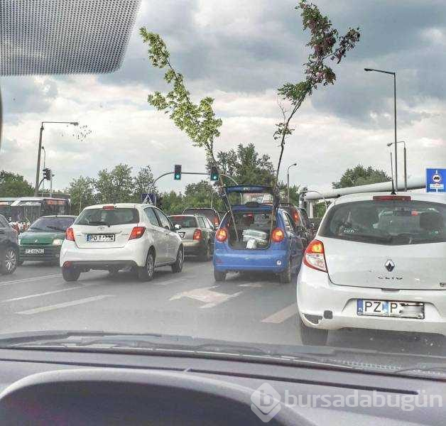 Günün en çok paylaşılan fotoğrafları
