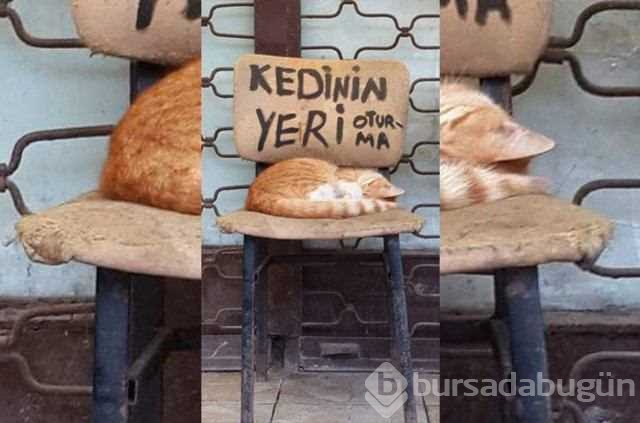 Yurdum esnafının güldüren pratik zekası
