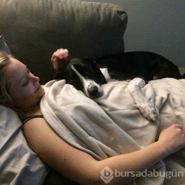 Dünyanın en sadık dostları köpekler
