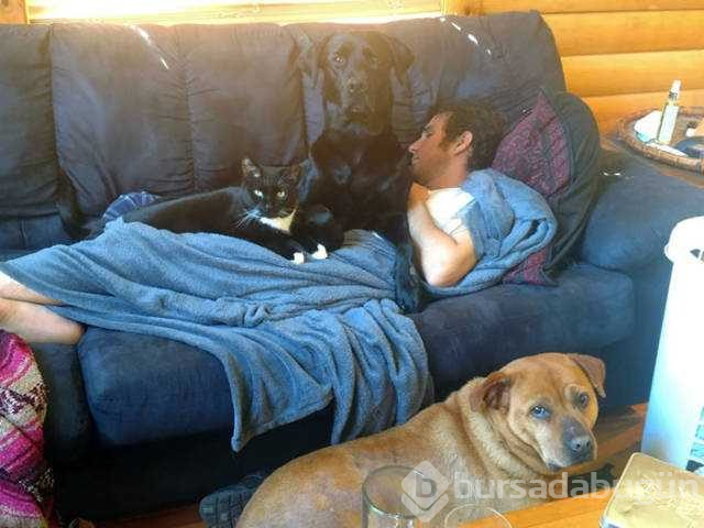 Dünyanın en sadık dostları köpekler
