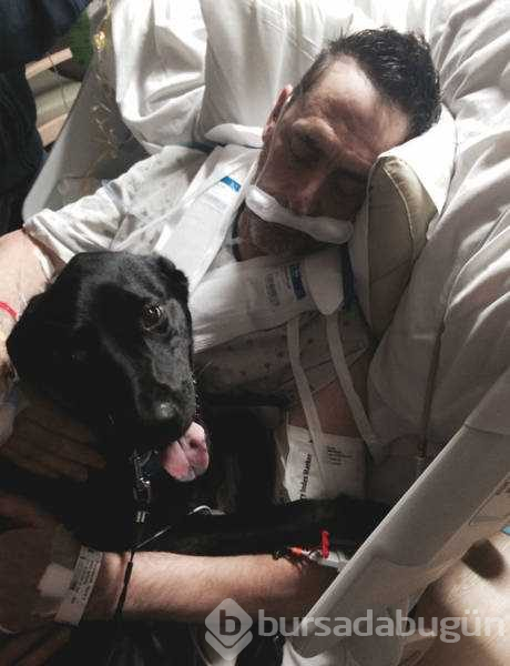 Dünyanın en sadık dostları köpekler
