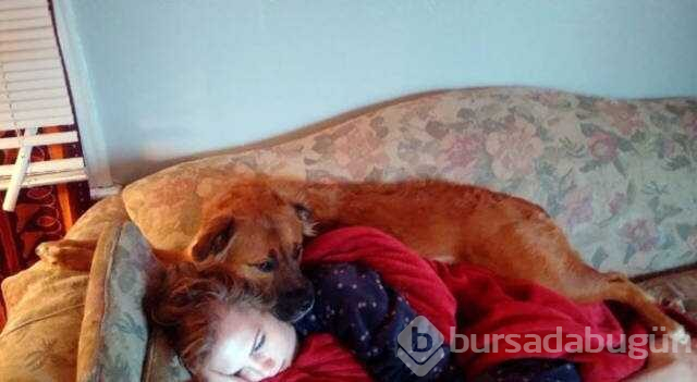 Dünyanın en sadık dostları köpekler

