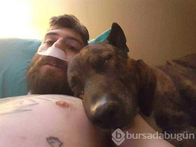 Dünyanın en sadık dostları köpekler
