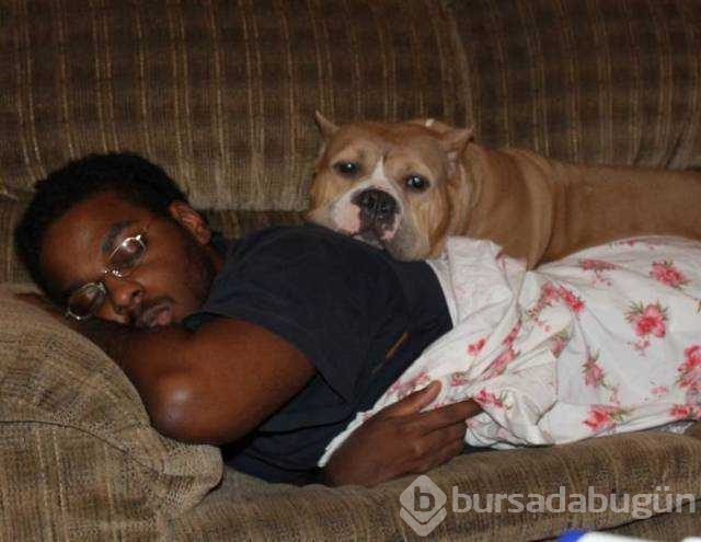 Dünyanın en sadık dostları köpekler
