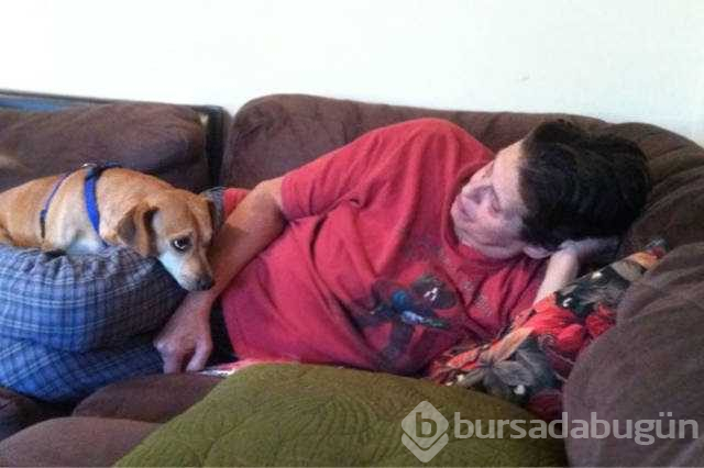 Dünyanın en sadık dostları köpekler
