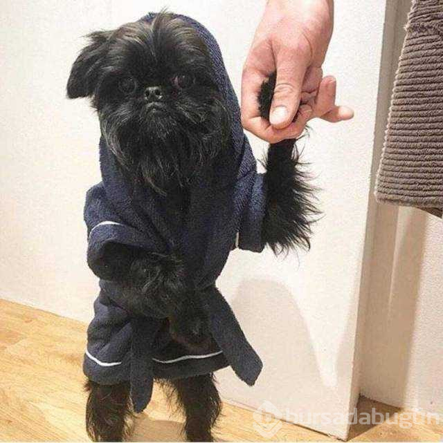 Günün en çok paylaşılan fotoğrafları
