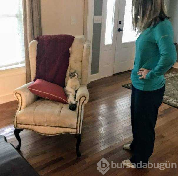 Günün en çok paylaşılan fotoğrafları
