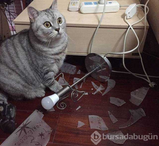 Günün en çok paylaşılan fotoğrafları
