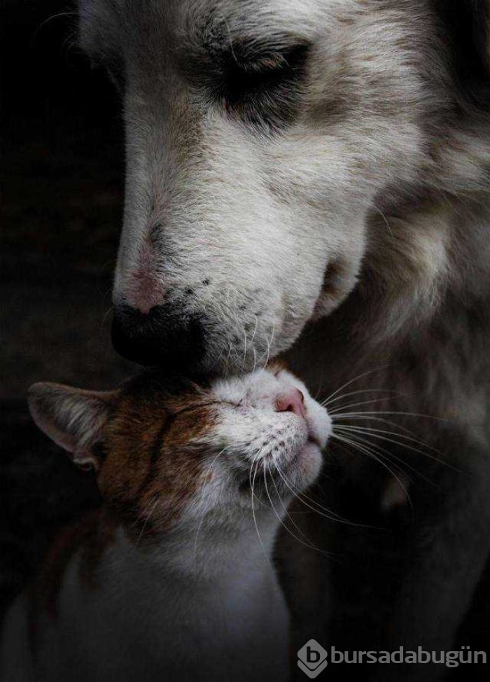 Günün en çok paylaşılan fotoğrafları
