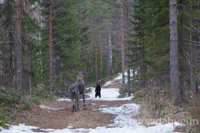 Günün en çok paylaşılan fotoğrafları
