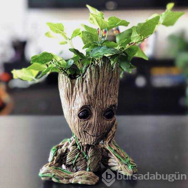 Günün en çok paylaşılan fotoğrafları
