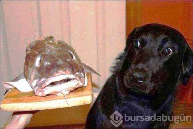 Günün en çok paylaşılan fotoğrafları
