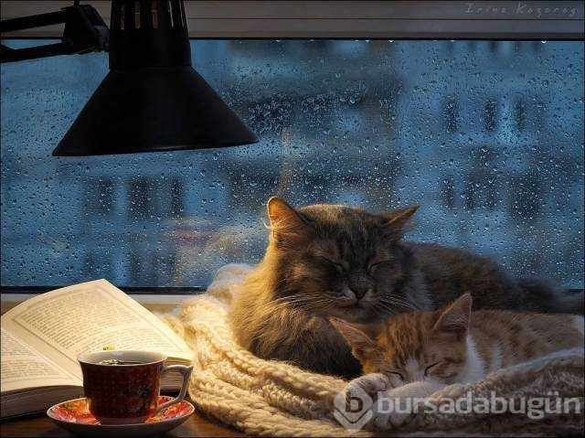 Günün en çok paylaşılan fotoğrafları
