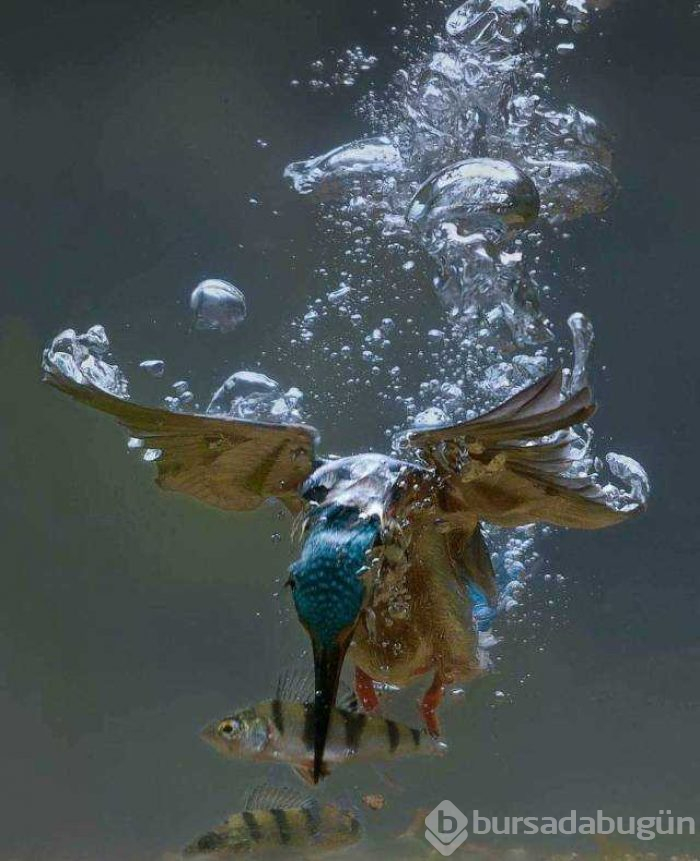 Günün en çok paylaşılan fotoğrafları
