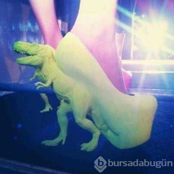 Günün en çok paylaşılan fotoğrafları
