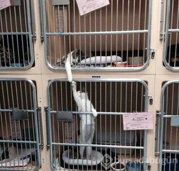 Günün en çok paylaşılan fotoğrafları
