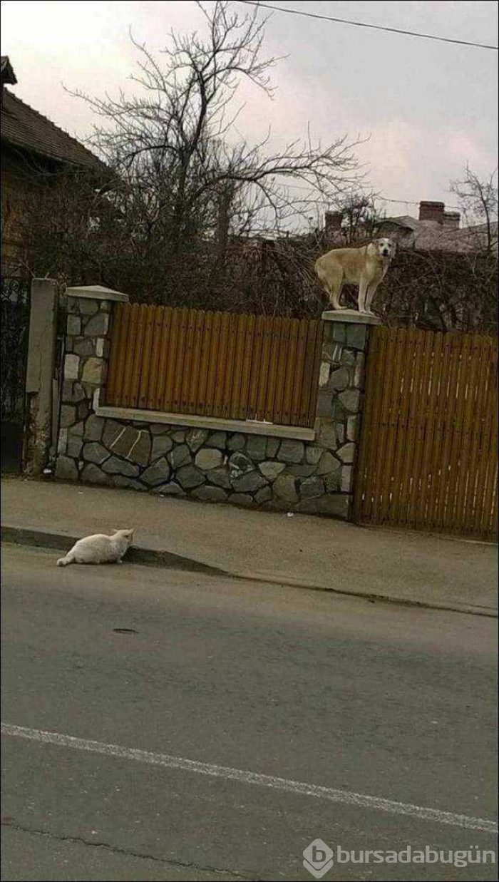 Günün en çok paylaşılan fotoğrafları
