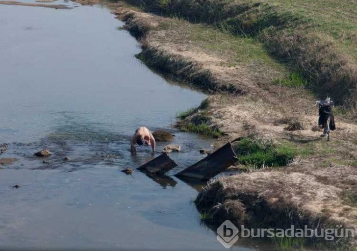 Kuzey Kore'nin bilinmeyen yüzü
