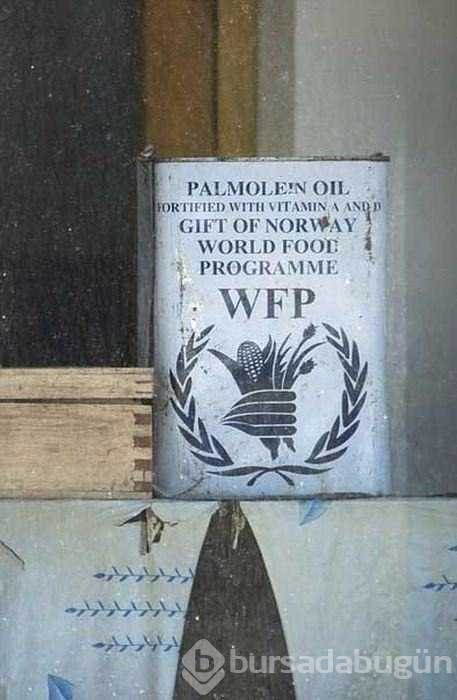 Kuzey Kore'nin bilinmeyen yüzü

