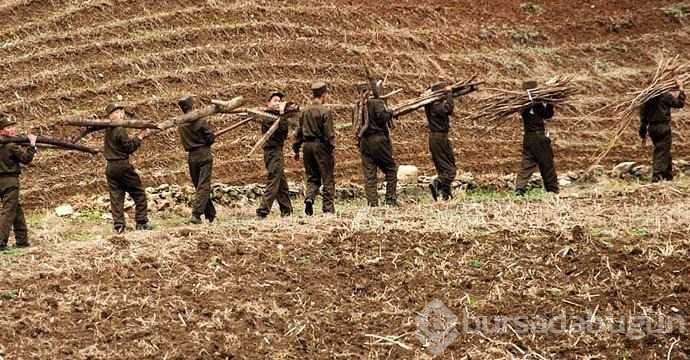 Kuzey Kore'nin bilinmeyen yüzü
