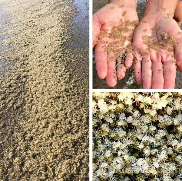 Günün en çok paylaşılan fotoğrafları