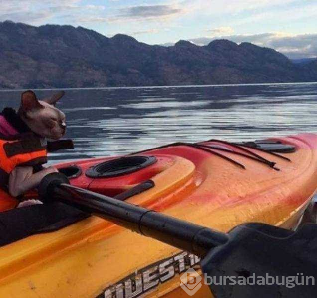 Günün en çok paylaşılan fotoğrafları