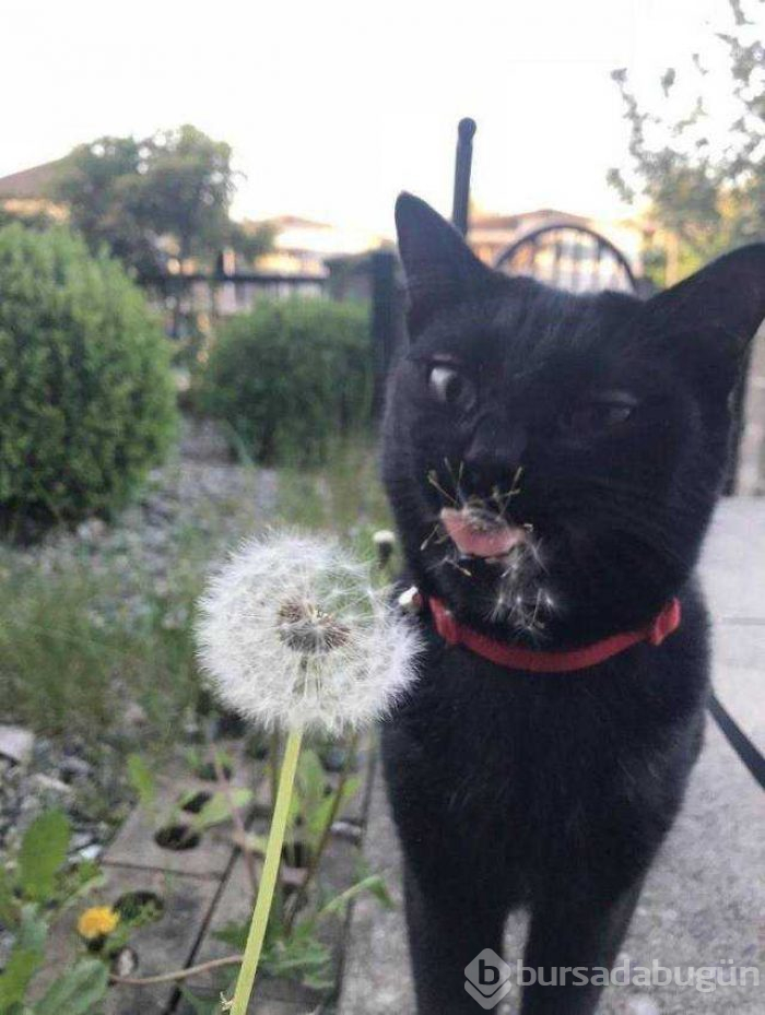 Günün en çok paylaşılan fotoğrafları