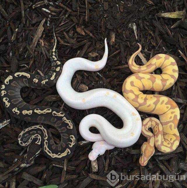 Günün en çok paylaşılan fotoğrafları