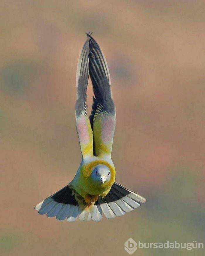 Günün en çok paylaşılan fotoğrafları