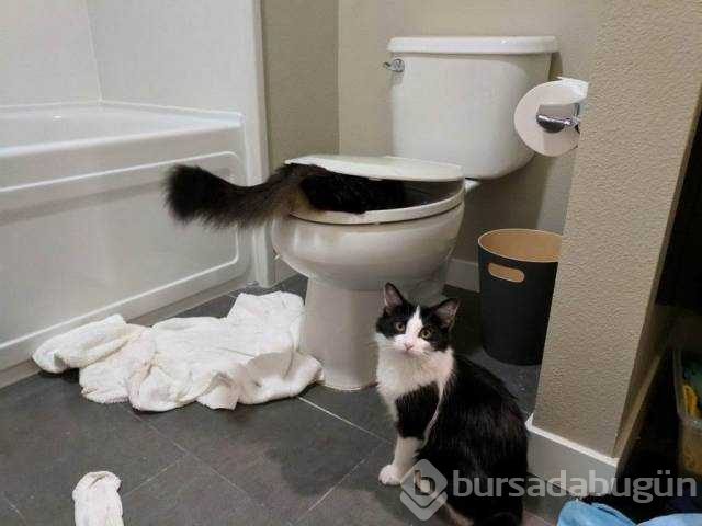 Günün en çok paylaşılan fotoğrafları