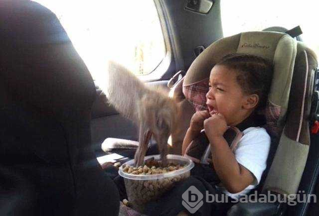 Günün en çok paylaşılan fotoğrafları