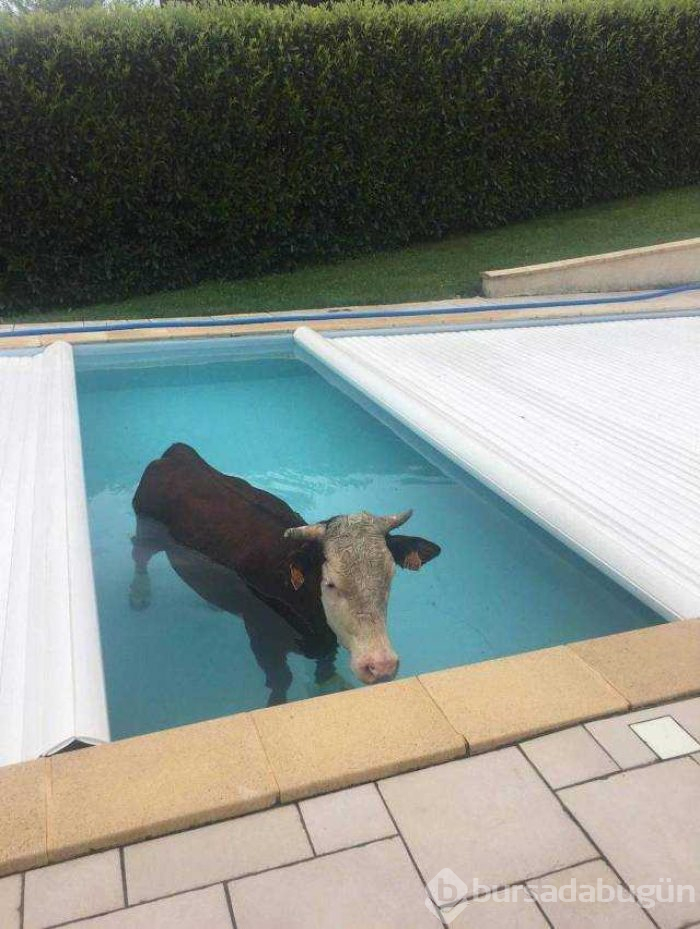 Günün en çok paylaşılan fotoğrafları