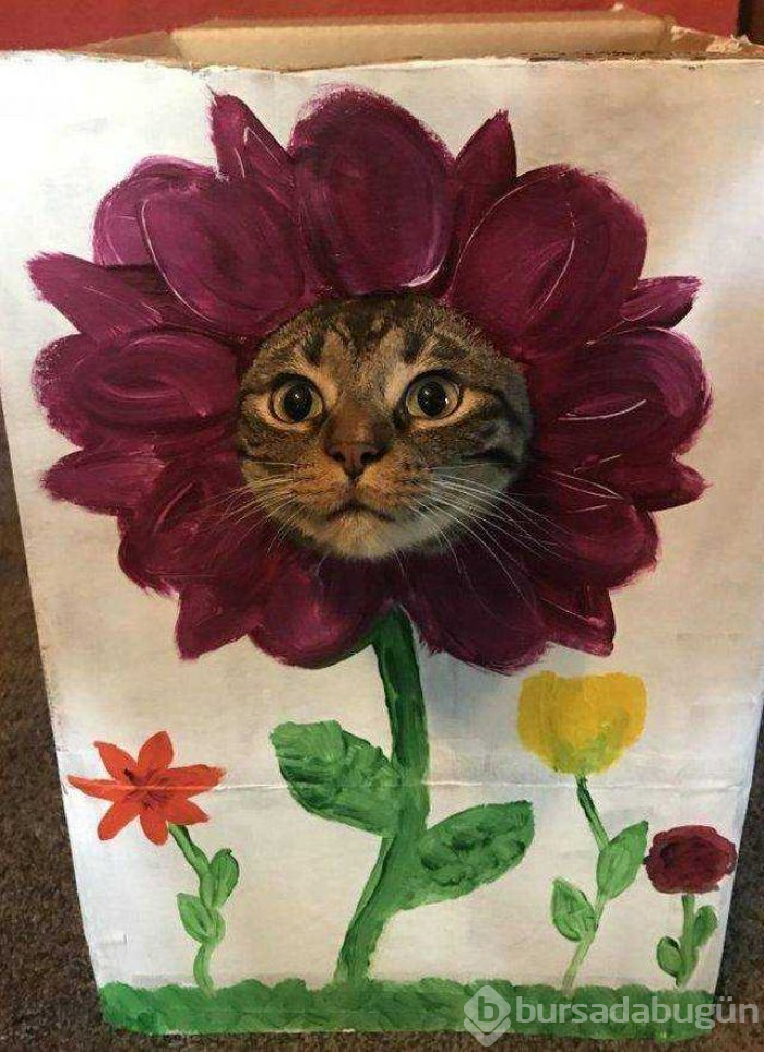 Günün en çok paylaşılan fotoğrafları
