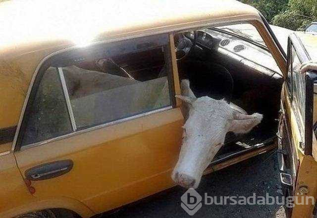 Yük taşımacılığında son nokta