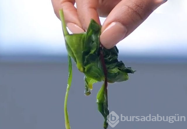 Besinleri daha uzun nasıl koruyabiliriz