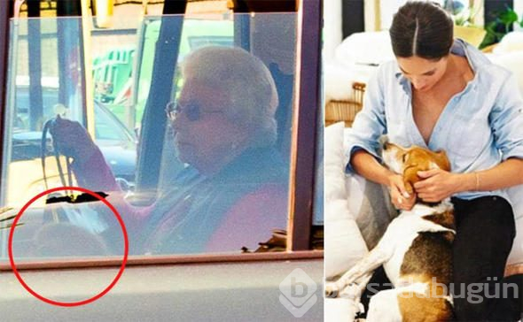 Meghan Markle'ın köpeğinin göz yaşartan hikayesi
