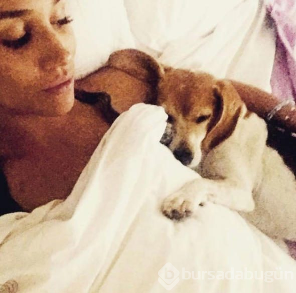 Meghan Markle'ın köpeğinin göz yaşartan hikayesi

