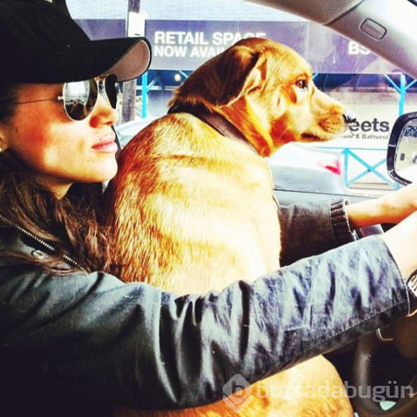 Meghan Markle'ın köpeğinin göz yaşartan hikayesi
