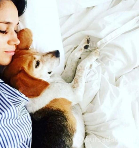 Meghan Markle'ın köpeğinin göz yaşartan hikayesi
