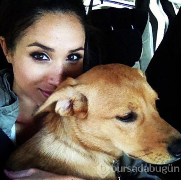 Meghan Markle'ın köpeğinin göz yaşartan hikayesi

