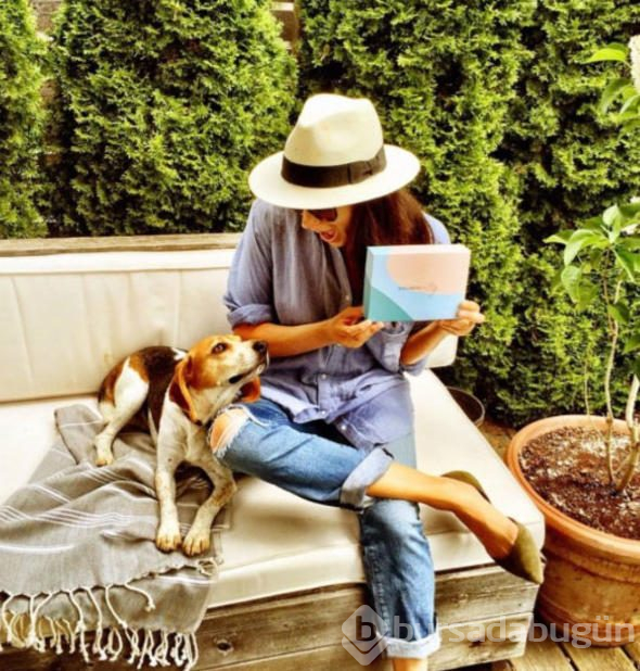 Meghan Markle'ın köpeğinin göz yaşartan hikayesi
