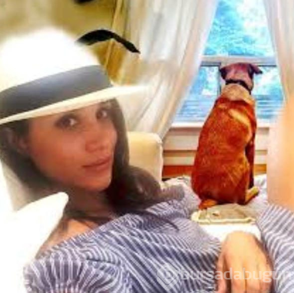 Meghan Markle'ın köpeğinin göz yaşartan hikayesi
