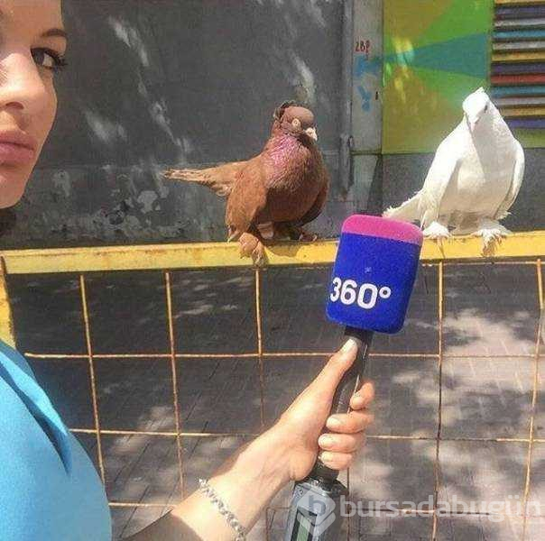 Günün en çok paylaşılan fotoğrafları