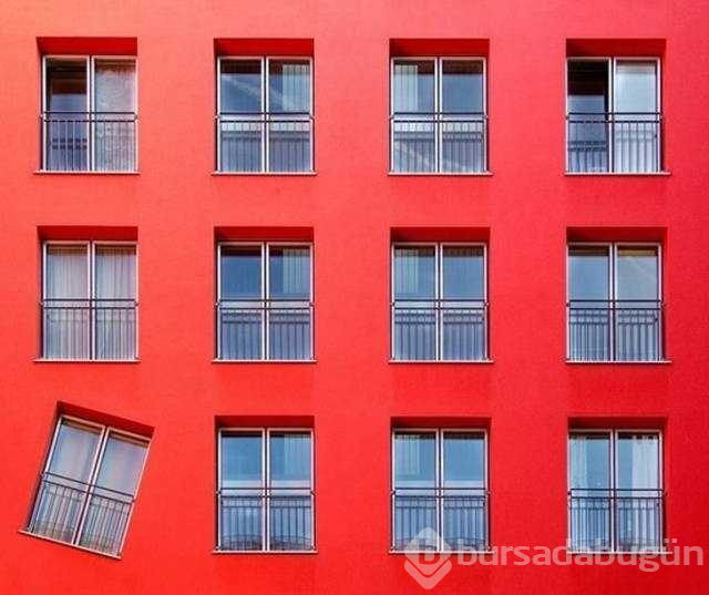 Günün en çok paylaşılan fotoğrafları