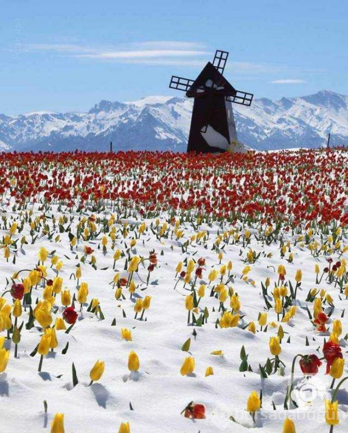 Günün en çok paylaşılan fotoğrafları