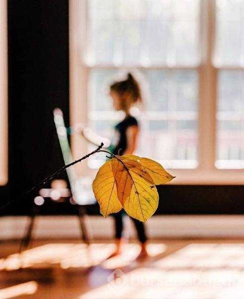 Günün en çok paylaşılan fotoğrafları