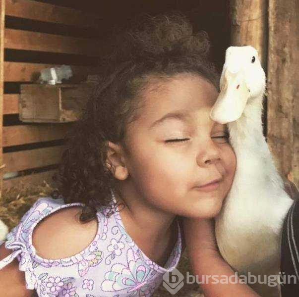 Günün en çok paylaşılan fotoğrafları