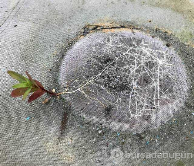 Günün en çok paylaşılan fotoğrafları